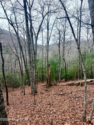 00 Ridgeline Drive, Brasstown, NC 28902