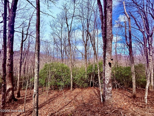 00 Ridgeline Drive, Brasstown, NC 28902