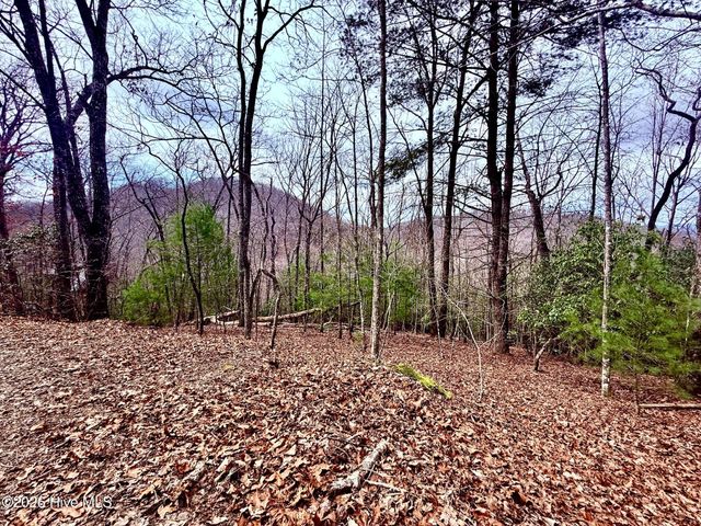 00 Ridgeline Drive, Brasstown, NC 28902