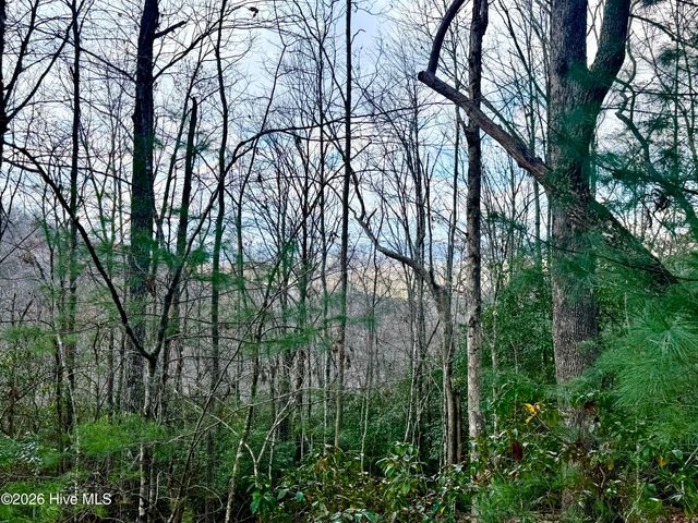 00 Ridgeline Drive, Brasstown, NC 28902
