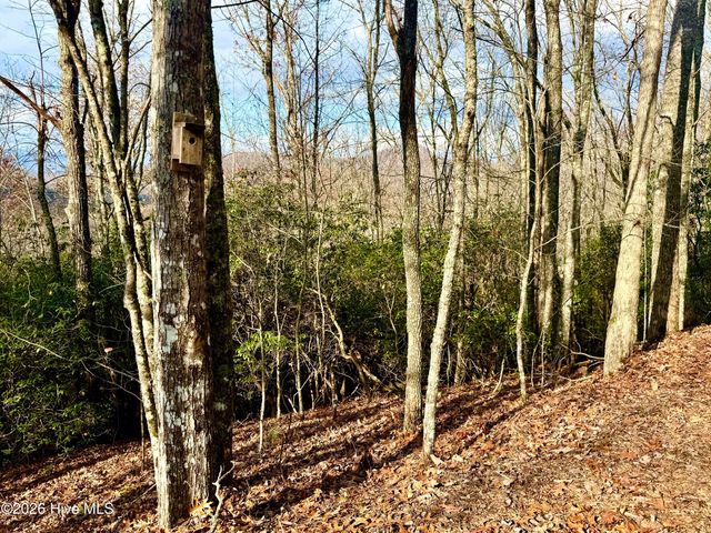 00 Ridgeline Drive, Brasstown, NC 28902