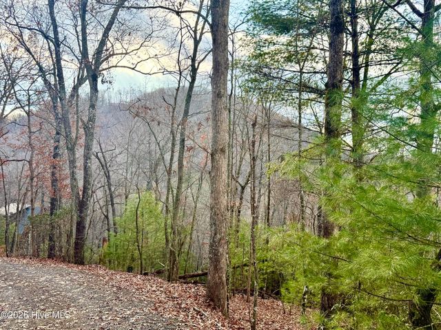 00 Ridgeline Drive, Brasstown, NC 28902