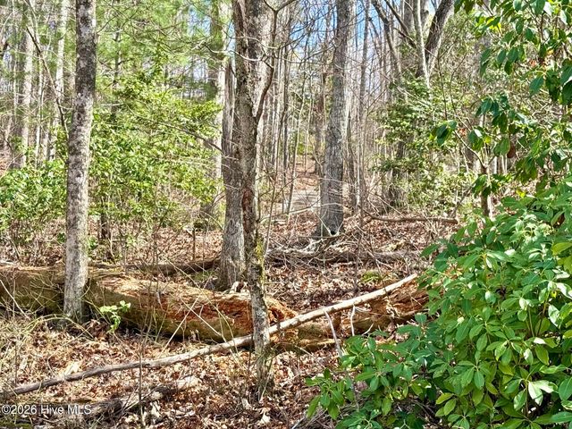00 Ridgeline Drive, Brasstown, NC 28902