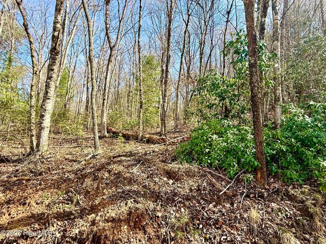 00 Ridgeline Drive, Brasstown, NC 28902
