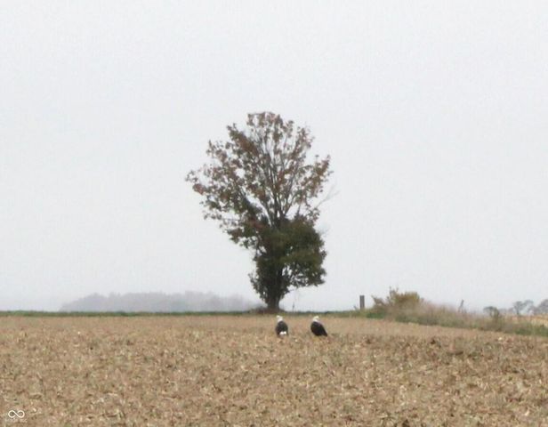 1982 W 100 N, Franklin, IN 46131