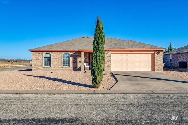 1230 Elmo Lane, San Angelo, TX 76905
