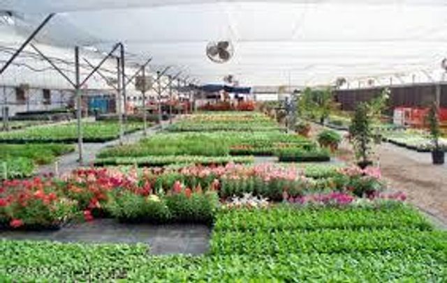 7036 Mcnutt Road, Anthony, NM 88021