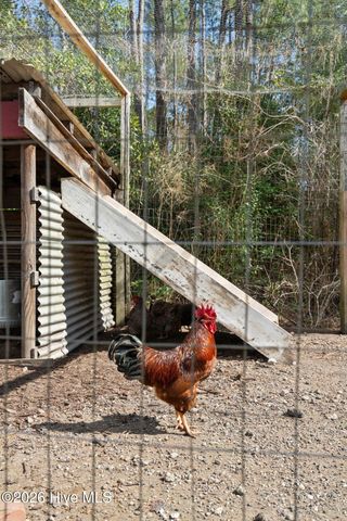 460 Oakey Point Road, Hampstead, NC 28443