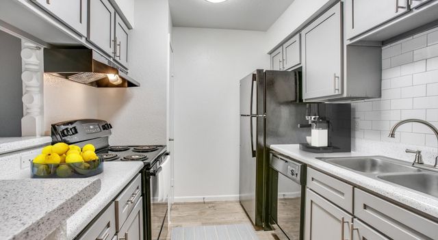 11810 Hammond Drive 1013, Houston, TX 77065