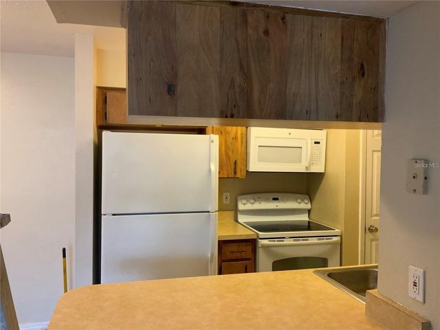 233 RED MAPLE PLACE 233, Brandon, FL 33510