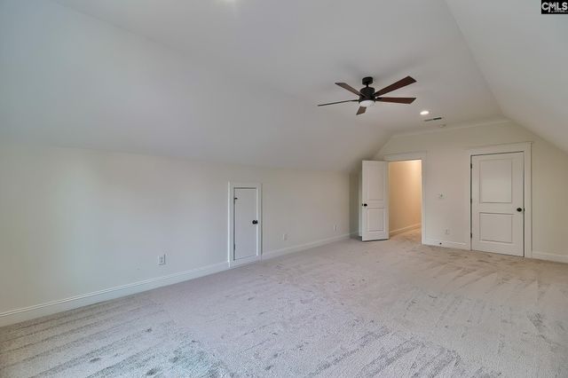 816 Elms Spiney Lane, Chapin, SC 29036