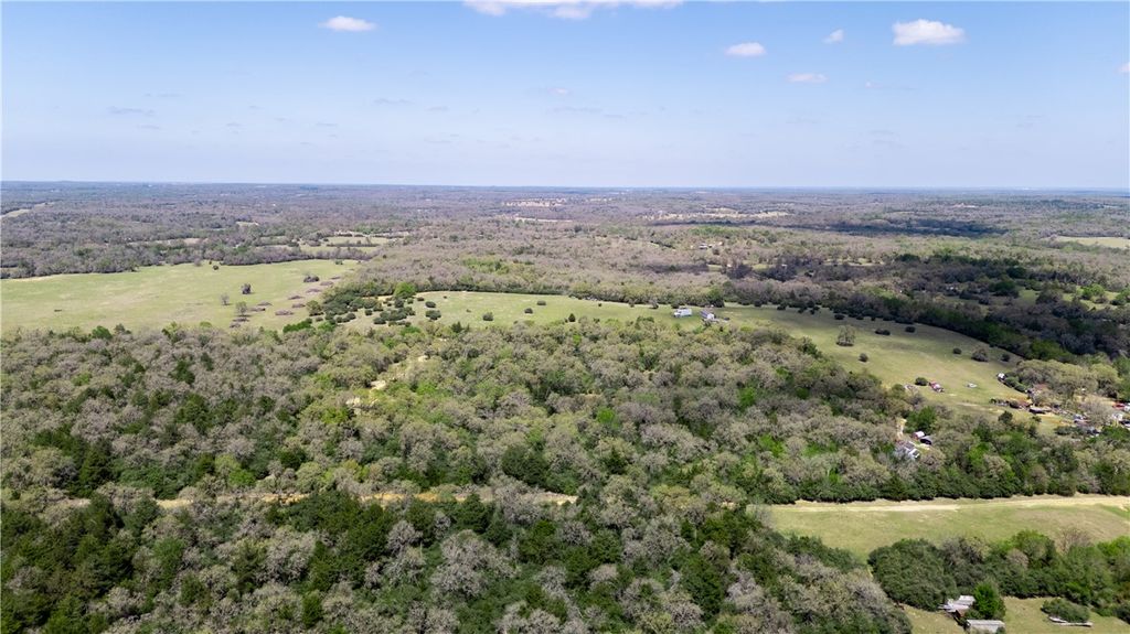 16.67 Acres Private Road 2015 Road, Caldwell, TX 77836 — photo 3