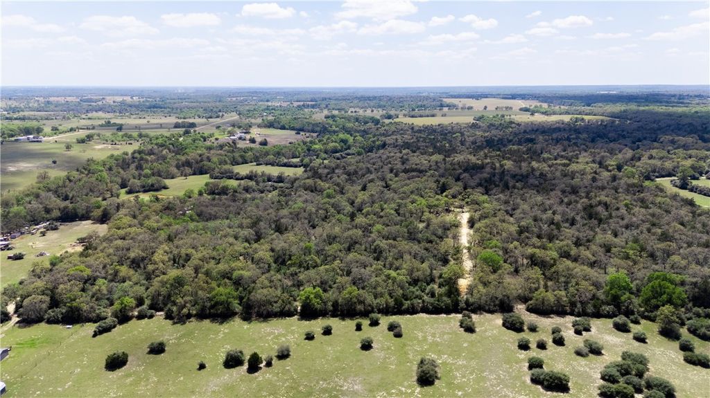 16.67 Acres Private Road 2015 Road, Caldwell, TX 77836 — photo 4