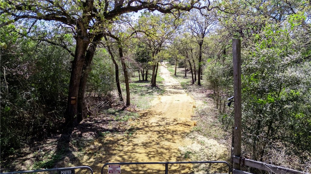 16.67 Acres Private Road 2015 Road, Caldwell, TX 77836 — photo 5