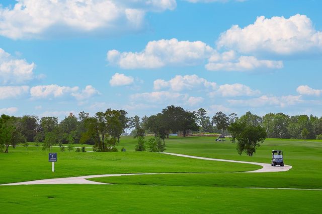 10135 Lehman Drive, Willis, TX 77318