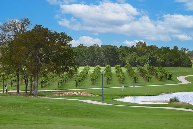 10135 Lehman Drive, Willis, TX 77318