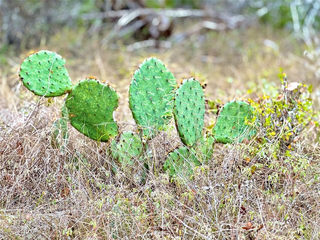 422 Eagle LN, Fischer, TX 78623