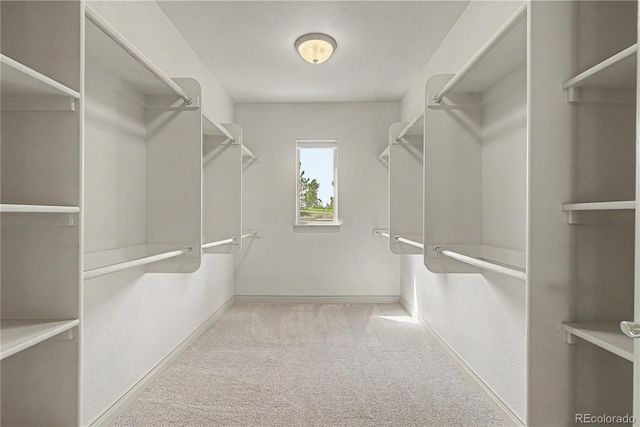9613 Blue Bonnet Court, Colorado Springs, CO 80920