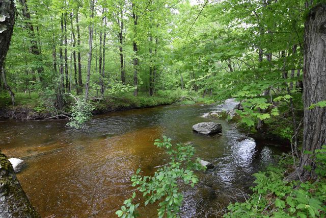 301 Mill Village Road, Goshen, NH 03752