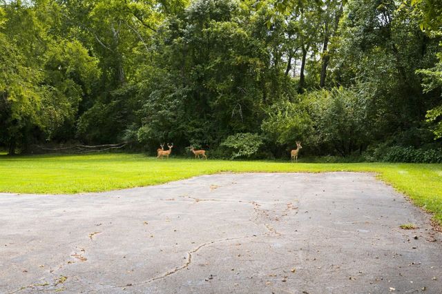 215 Tyne Bay Dr, Hendersonville, TN 37075