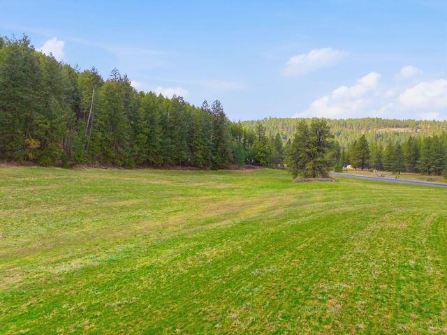 44xx E Spangle Creek Rd, Valleyford, WA 99036