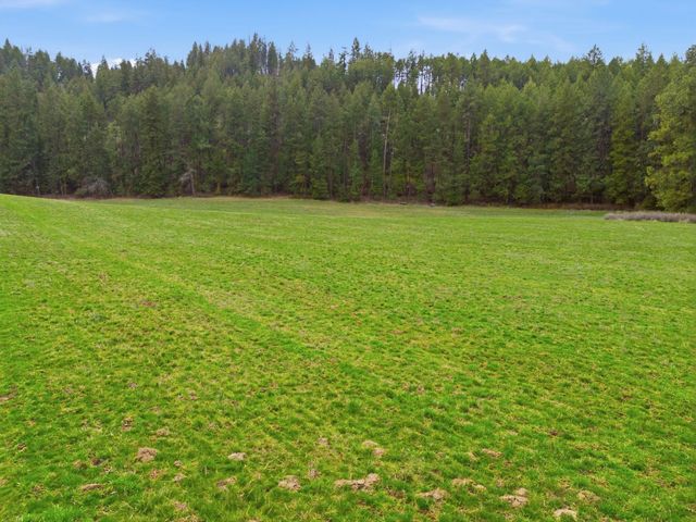 44xx E Spangle Creek Rd, Valleyford, WA 99036