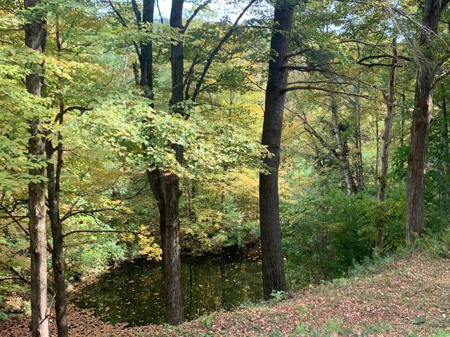 152 Pencil Mill Road, Castleton, VT 05735