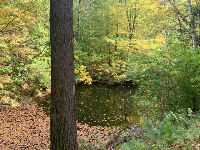 152 Pencil Mill Road, Castleton, VT 05735