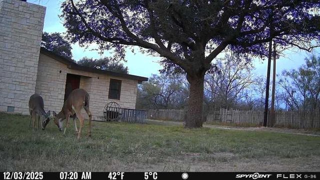 200 Neva Road, Mertzon, TX 76941