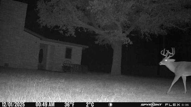 200 Neva Road, Mertzon, TX 76941