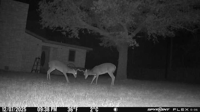 200 Neva Road, Mertzon, TX 76941