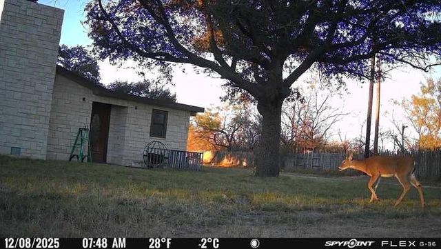 200 Neva Road, Mertzon, TX 76941