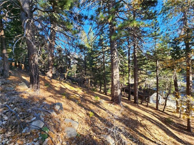 0 Lovers, Rimforest, CA 92378