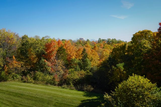 340 Deepwoods Drive, 6, Newport, KY 41076
