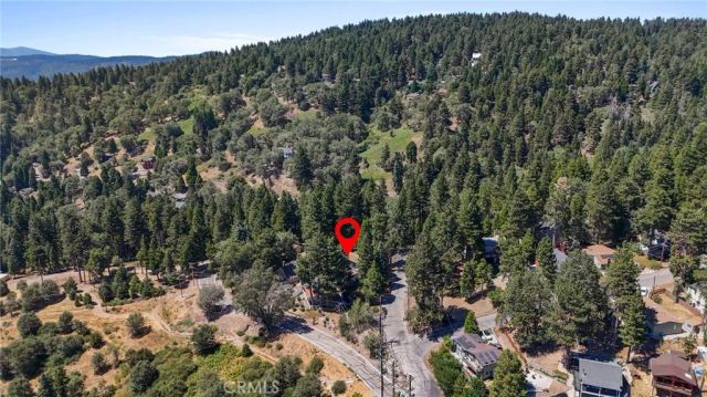 2578 Rim Of The World, Running Springs, CA 92382