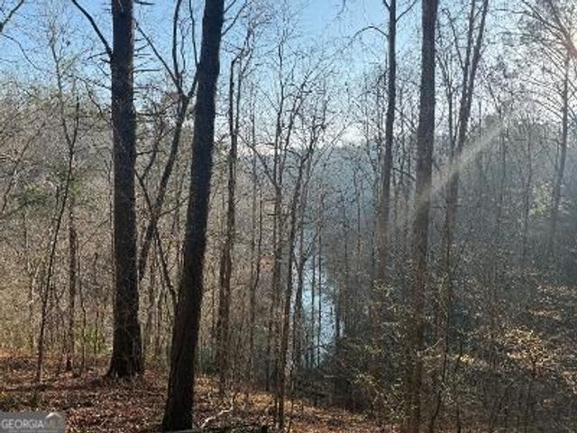0 Elk Trail, Talking Rock, GA 30175