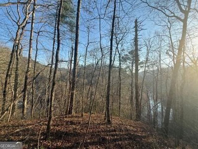 0 Elk Trail, Talking Rock, GA 30175