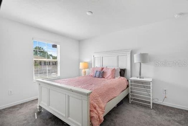 6119 SHINER STREET, Land O Lakes, FL 34638