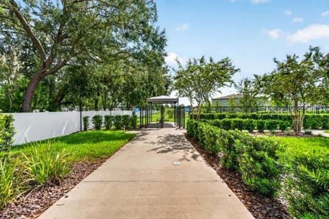 6119 SHINER STREET, Land O Lakes, FL 34638