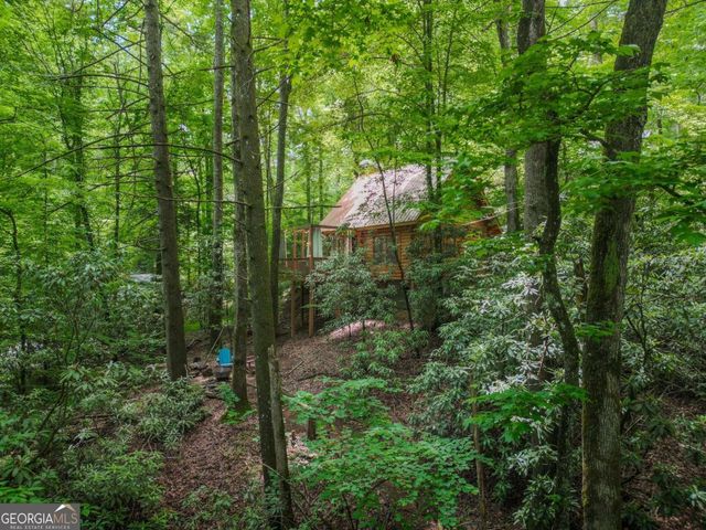 14 Finch Lane, Cherry Log, GA 30522