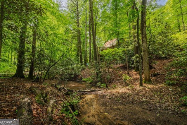 14 Finch Lane, Cherry Log, GA 30522