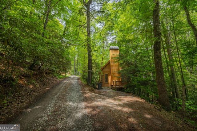 14 Finch Lane, Cherry Log, GA 30522