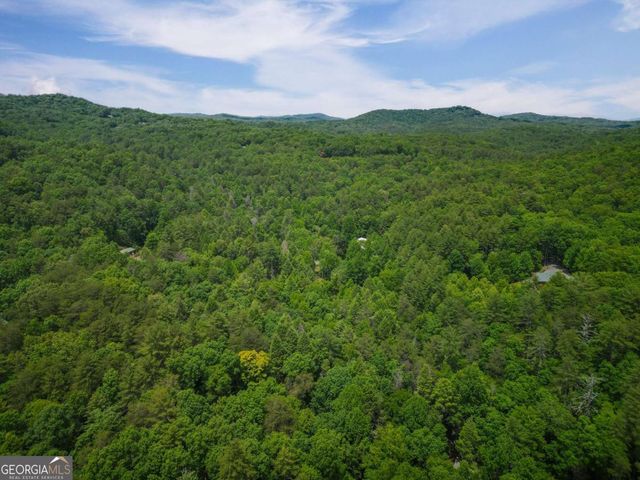 14 Finch Lane, Cherry Log, GA 30522