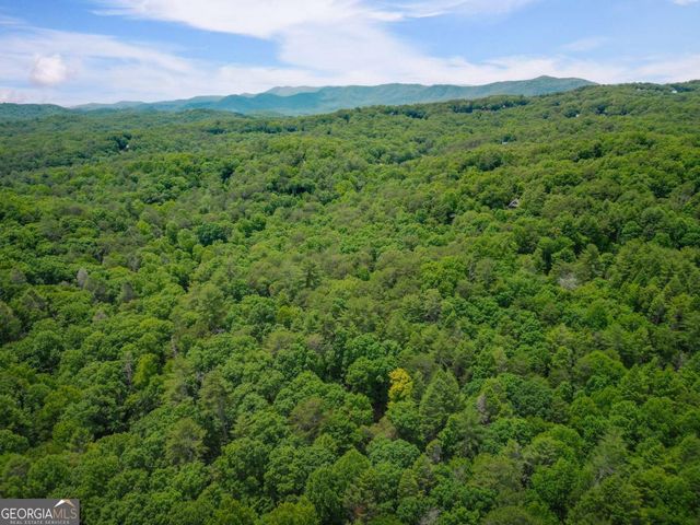 14 Finch Lane, Cherry Log, GA 30522