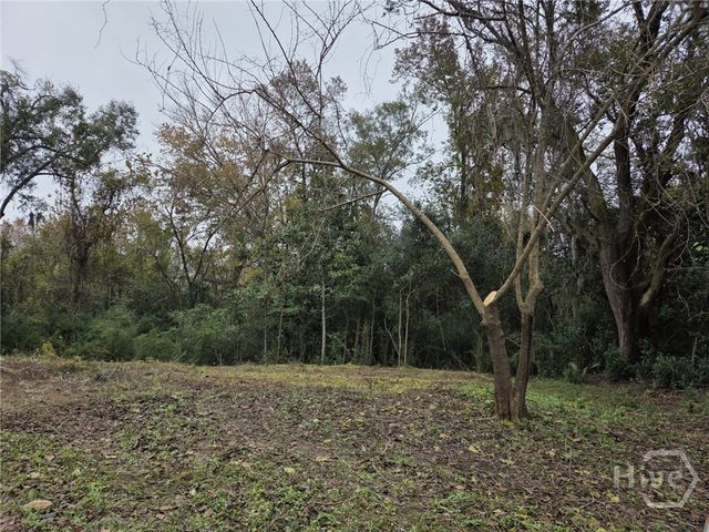 0 Mosley Street, Savannah, GA 31404