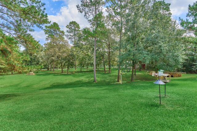 32210 Park Meadow Pass, Magnolia, TX 77355