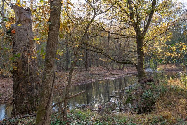 0 Short Creek Rd, Linden, TN 37096