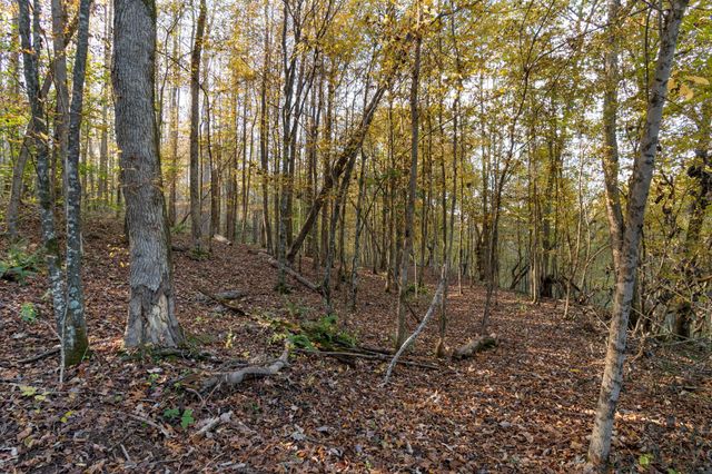 0 Short Creek Rd, Linden, TN 37096