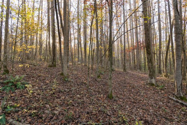 0 Short Creek Rd, Linden, TN 37096