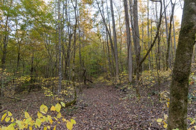 0 Short Creek Rd, Linden, TN 37096